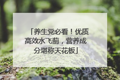 养生党必看！优质高效水飞蓟，营养成分堪称天花板
