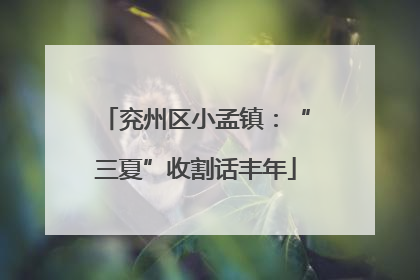 兖州区小孟镇：“三夏”收割话丰年
