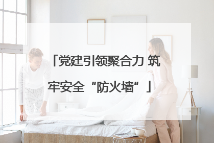 党建引领聚合力 筑牢安全“防火墙”