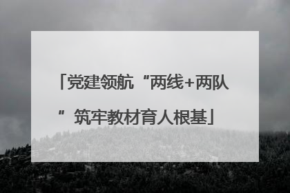 党建领航“两线+两队”筑牢教材育人根基
