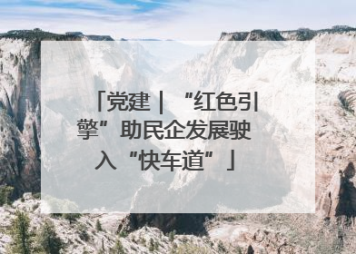 党建｜“红色引擎”助民企发展驶入“快车道”