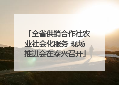 全省供销合作社农业社会化服务 现场推进会在泰兴召开