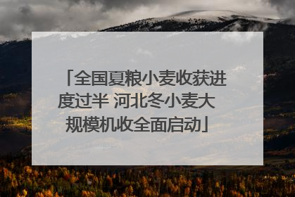 全国夏粮小麦收获进度过半 河北冬小麦大规模机收全面启动