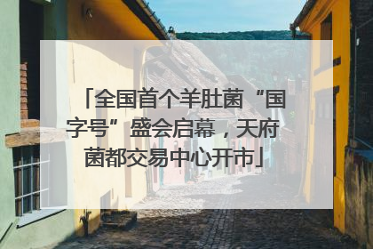 全国首个羊肚菌“国字号”盛会启幕，天府菌都交易中心开市