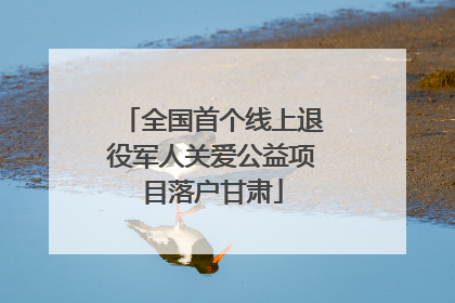 全国首个线上退役军人关爱公益项目落户甘肃