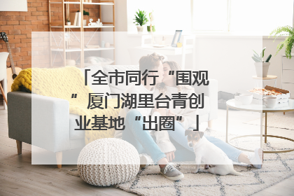 全市同行“围观”厦门湖里台青创业基地“出圈”