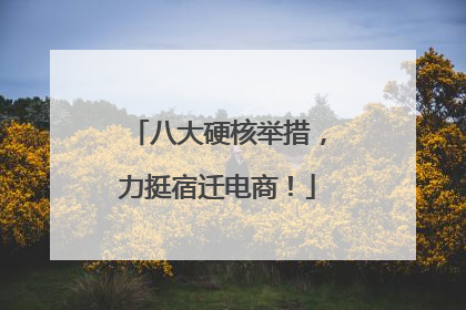 八大硬核举措，力挺宿迁电商！