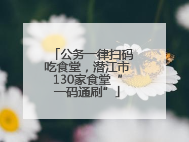 公务一律扫码吃食堂，潜江市130家食堂“一码通刷”