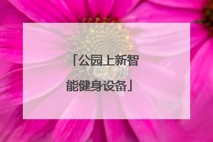 公园上新智能健身设备