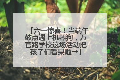 六一惊喜！当端午鼓点遇上机器狗，万官路学校这场活动把孩子们看呆啦→