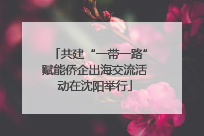 共建“一带一路”赋能侨企出海交流活动在沈阳举行