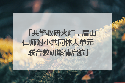 共擎教研火炬，眉山仁师附小共同体大单元联合教研燃情启航