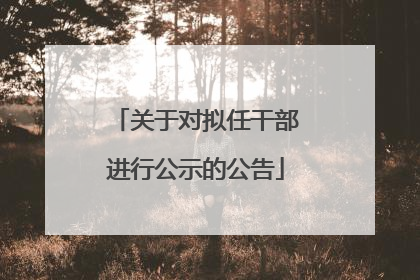 关于对拟任干部进行公示的公告