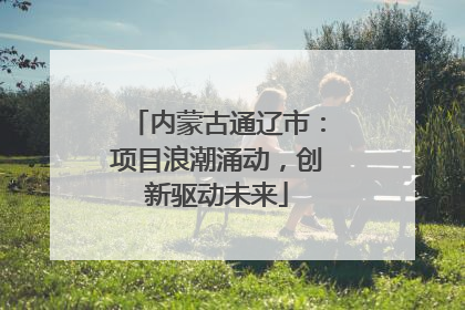 内蒙古通辽市：项目浪潮涌动，创新驱动未来