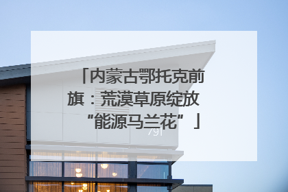 内蒙古鄂托克前旗：荒漠草原绽放“能源马兰花”