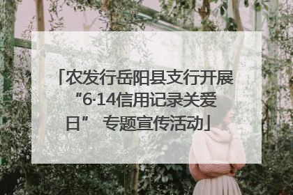 农发行岳阳县支行开展“6·14信用记录关爱日” 专题宣传活动