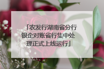 农发行湖南省分行银企对账省行集中处理正式上线运行