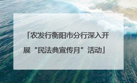 农发行衡阳市分行深入开展“民法典宣传月”活动