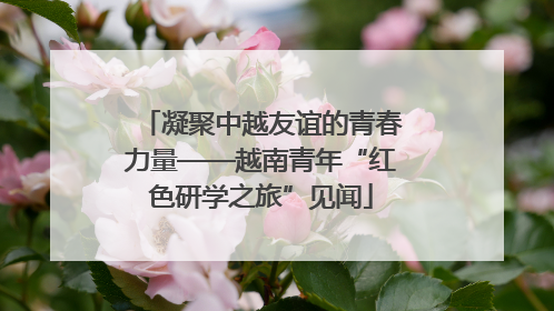 凝聚中越友谊的青春力量——越南青年“红色研学之旅”见闻