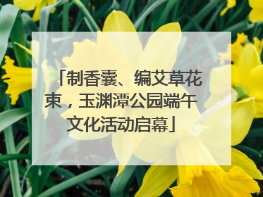 制香囊、编艾草花束，玉渊潭公园端午文化活动启幕