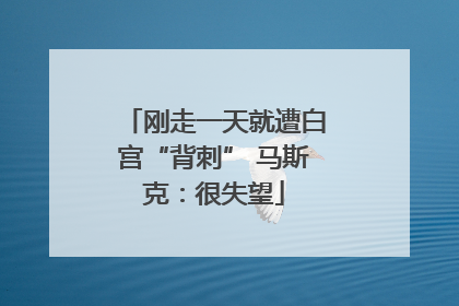 刚走一天就遭白宫“背刺” 马斯克：很失望