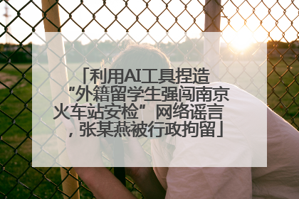 利用AI工具捏造 “外籍留学生强闯南京火车站安检”网络谣言，张某燕被行政拘留