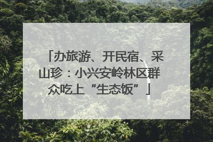 办旅游、开民宿、采山珍：小兴安岭林区群众吃上“生态饭”