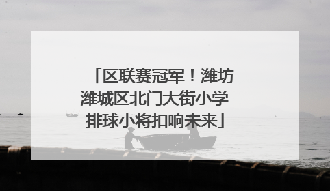 区联赛冠军！潍坊潍城区北门大街小学排球小将扣响未来