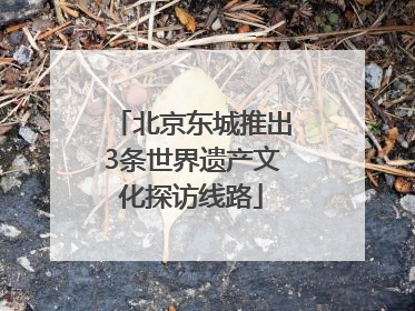 北京东城推出3条世界遗产文化探访线路