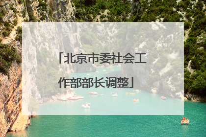 北京市委社会工作部部长调整