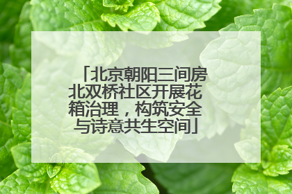 北京朝阳三间房北双桥社区开展花箱治理，构筑安全与诗意共生空间