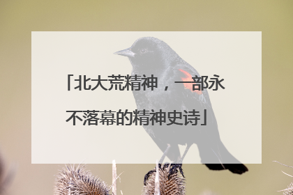 北大荒精神，一部永不落幕的精神史诗