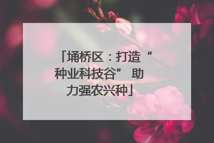 埇桥区：打造“种业科技谷” 助力强农兴种