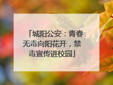 城阳公安：青春无毒向阳花开，禁毒宣传进校园