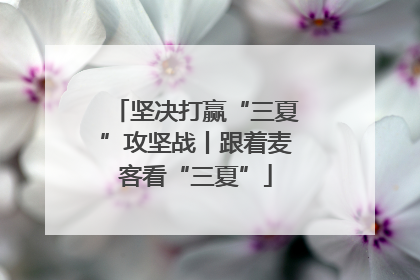 坚决打赢“三夏”攻坚战丨跟着麦客看“三夏”