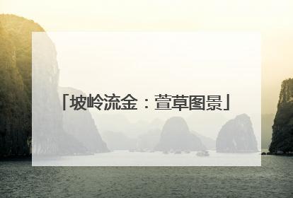 坡岭流金：萱草图景