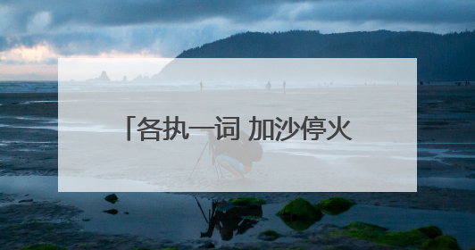 各执一词 加沙停火方案陷“罗生门”
