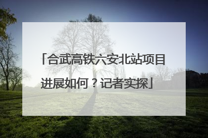 合武高铁六安北站项目进展如何？记者实探