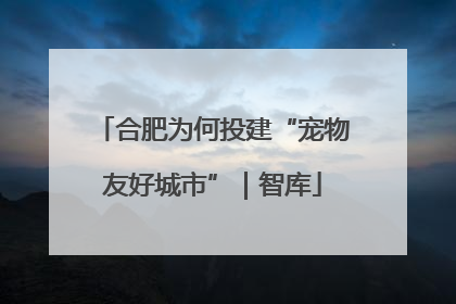 合肥为何投建“宠物友好城市”｜智库