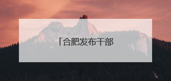 合肥发布干部任前公示公告
