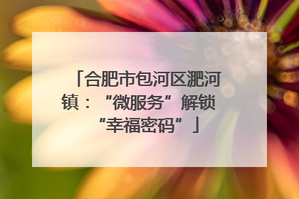 合肥市包河区淝河镇：“微服务”解锁“幸福密码”