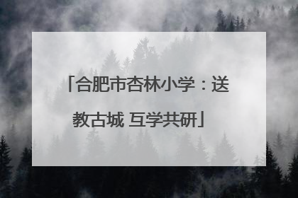 合肥市杏林小学：送教古城 互学共研