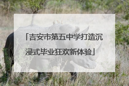 吉安市第五中学打造沉浸式毕业狂欢新体验