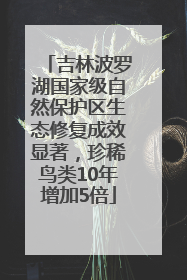 吉林波罗湖国家级自然保护区生态修复成效显著，珍稀鸟类10年增加5倍