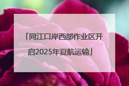 同江口岸西部作业区开启2025年夏航运输