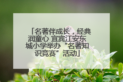 名著伴成长，经典润童心 宜宾江安东城小学举办“名著知识竞赛”活动