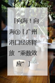 向海！向海③丨广州港口经济释放“乘数效应”