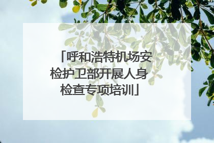 呼和浩特机场安检护卫部开展人身检查专项培训