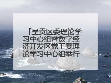 呈贡区委理论学习中心组暨数字经济开发区党工委理论学习中心组举行2025年第七次学习会议