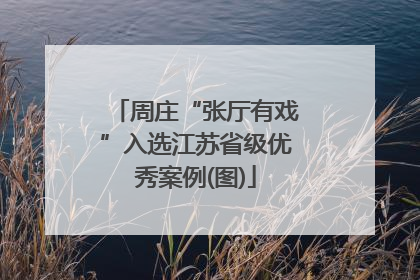 周庄“张厅有戏”入选江苏省级优秀案例(图)